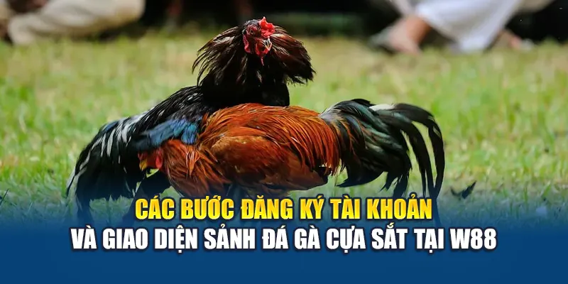 Trải Nghiệm Đá Gà Cựa Sắt Đỉnh Cao Tại Nhà Cái W88 1 Các bước đăng ký tài khoản và giao diện sảnh đá gà cựa sắt tại W88