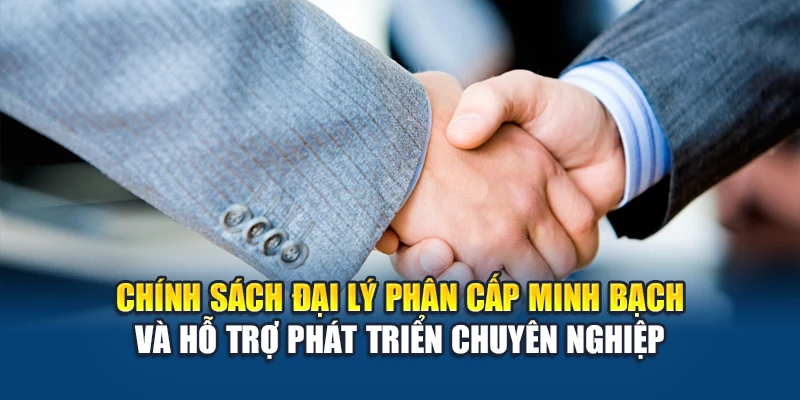 Chính sách đại lý W88 phân cấp minh bạch và hỗ trợ phát triển chuyên nghiệp