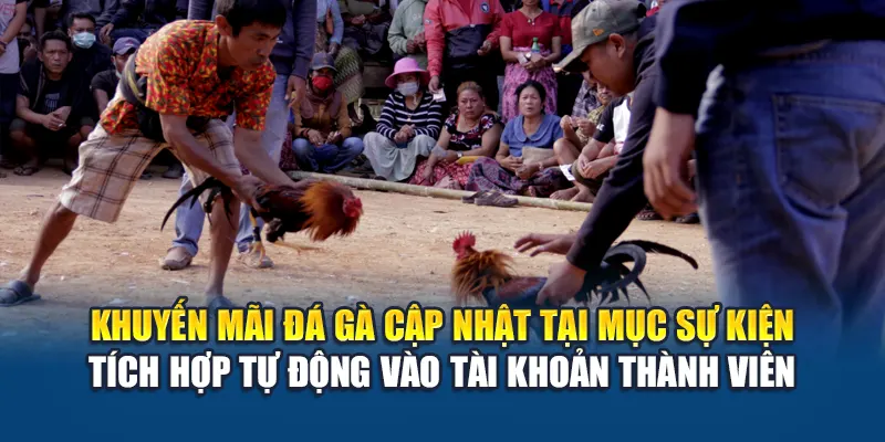 Khuyến mãi đá gà cập nhật tại mục sự kiện – tích hợp tự động vào tài khoản thành viên