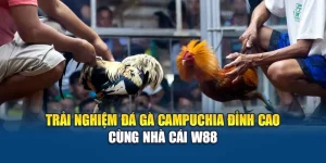 Trải Nghiệm Đá Gà Campuchia Đỉnh Cao Cùng Nhà Cái W88